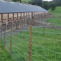 Clôture galvanisée de bétail / barrière de bétail (vente chaude) / Fabrication de panneau de barrière de bétail